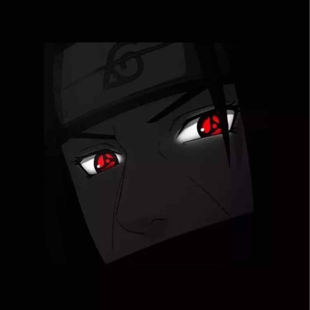 @shadcn